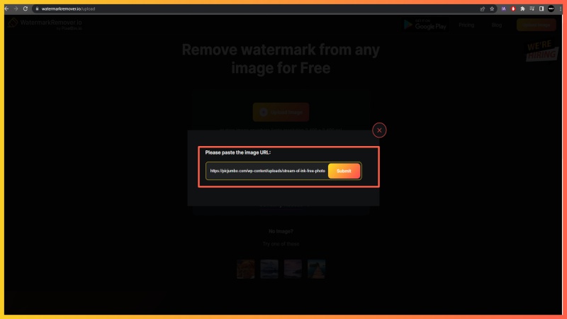 Pasting image url and click on submit button.